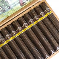 Aladino Maduro Gordo Cigar - Box of 20